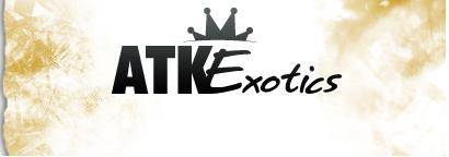 atk-exotics-coupon